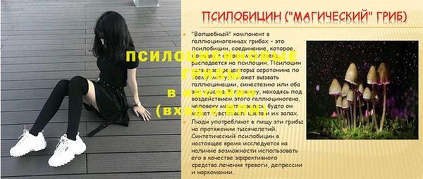 кокс Алексин